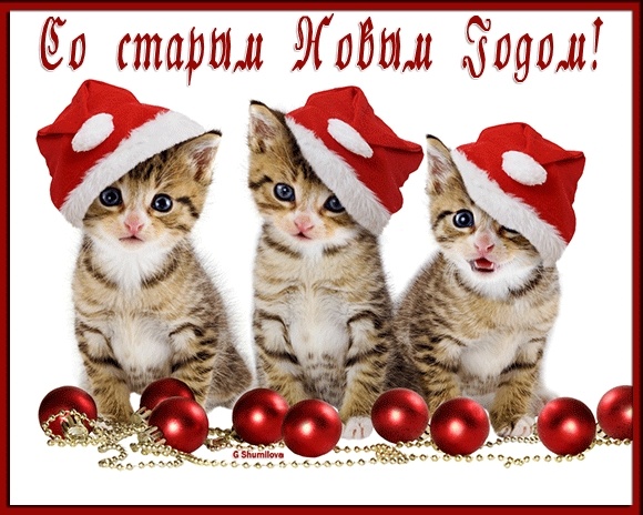 🎉Урраа! Со Старым Новым годом вас, дорогие друзья!🎄✨🎊