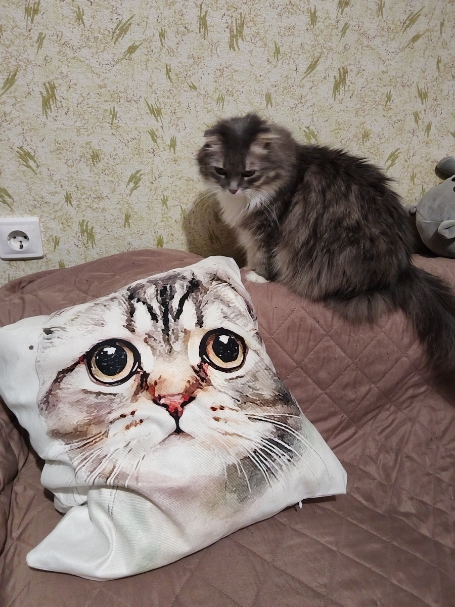 Буся с Бусей