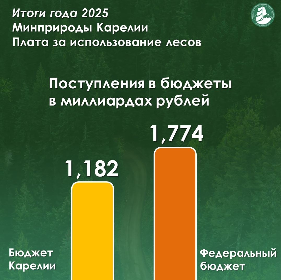    Фото: Янина Свидская / ВК