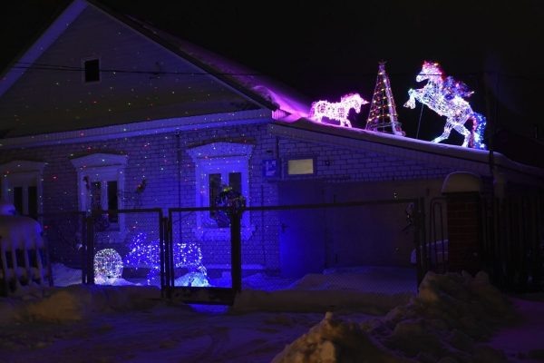 Пегас на крыше и волшебный фонарь: нижегородцы поделились секретами новогоднего украшения дома  📷
