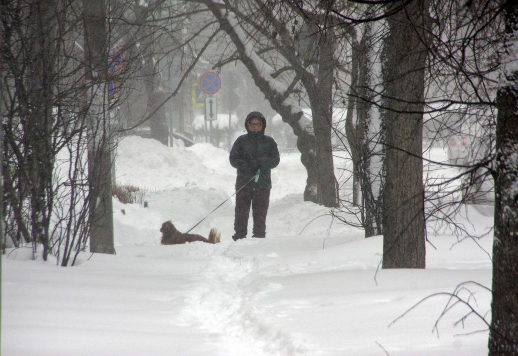    © Григорий Калачьян/ГР