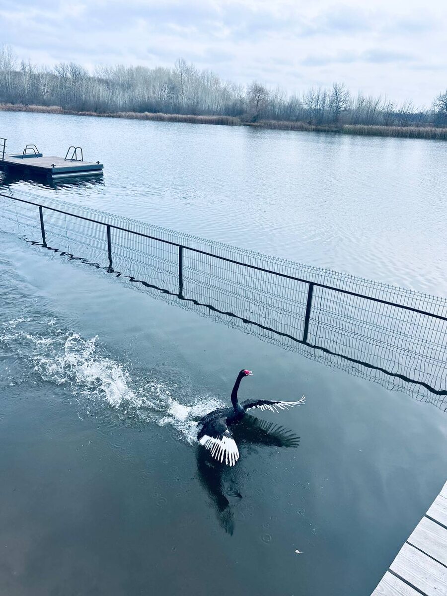 Фото с Телеграм канала "В Марксе хорошо" 