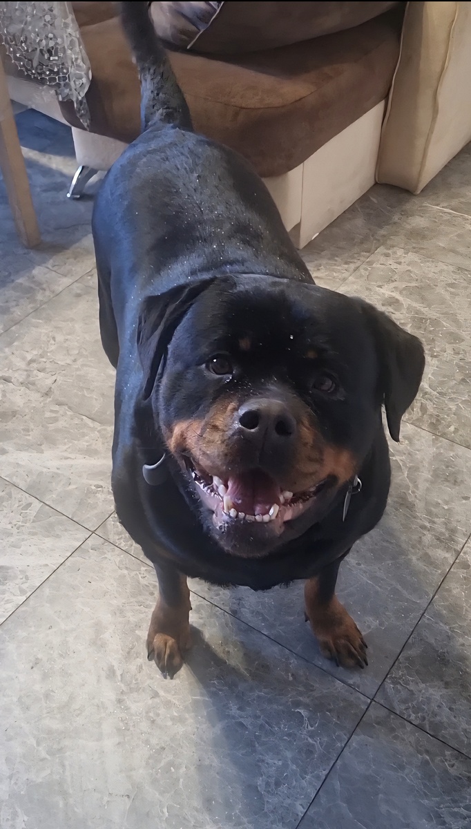 Всем Приветик!