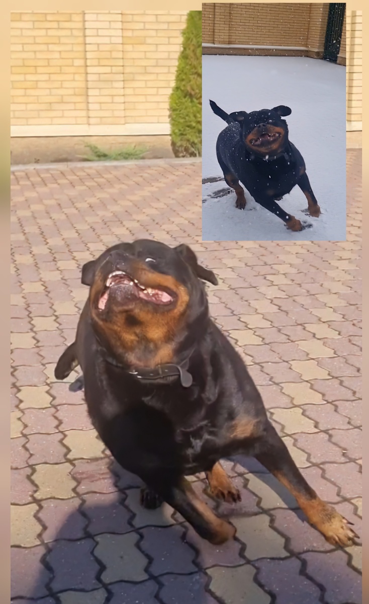 На фото то же место и то же движение,  летом и зимой.