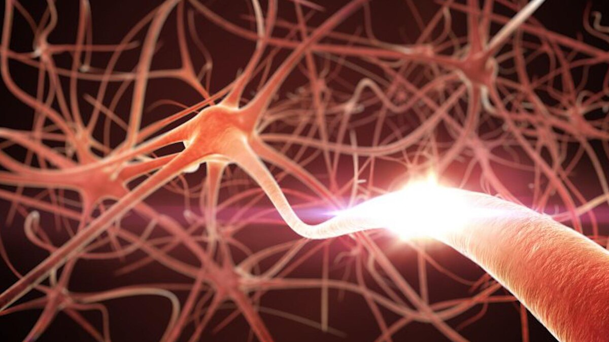    Фото: scientificrussia.ru