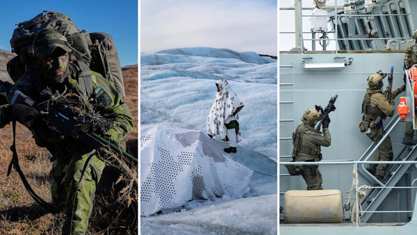    Швеция отправила военных в Гренландию