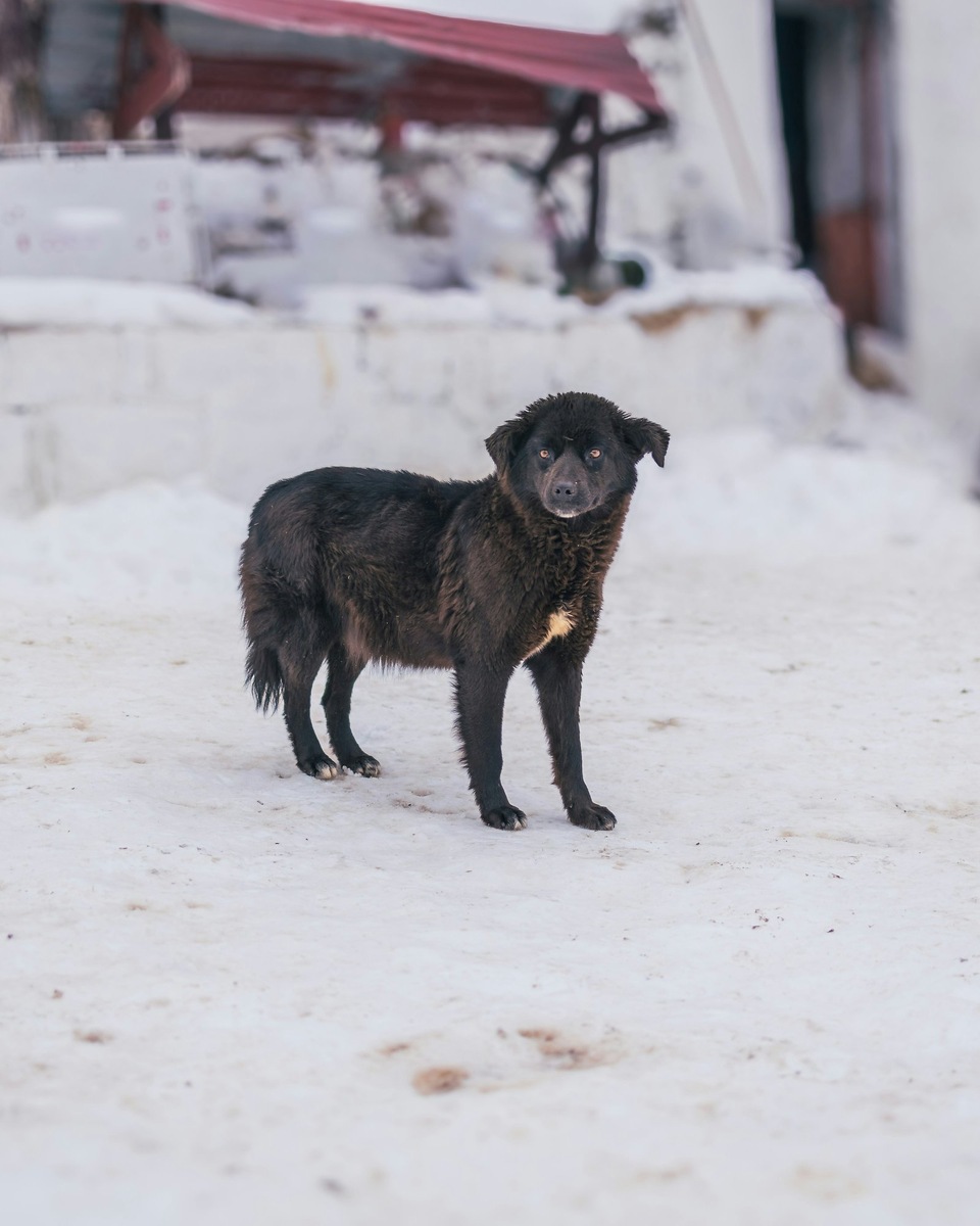    Изображение несет иллюстративный характер
