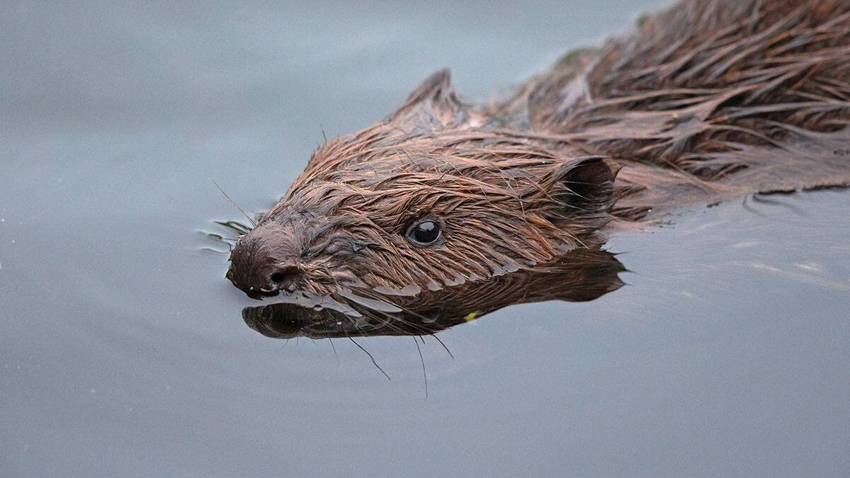    Фото: Shutterstock