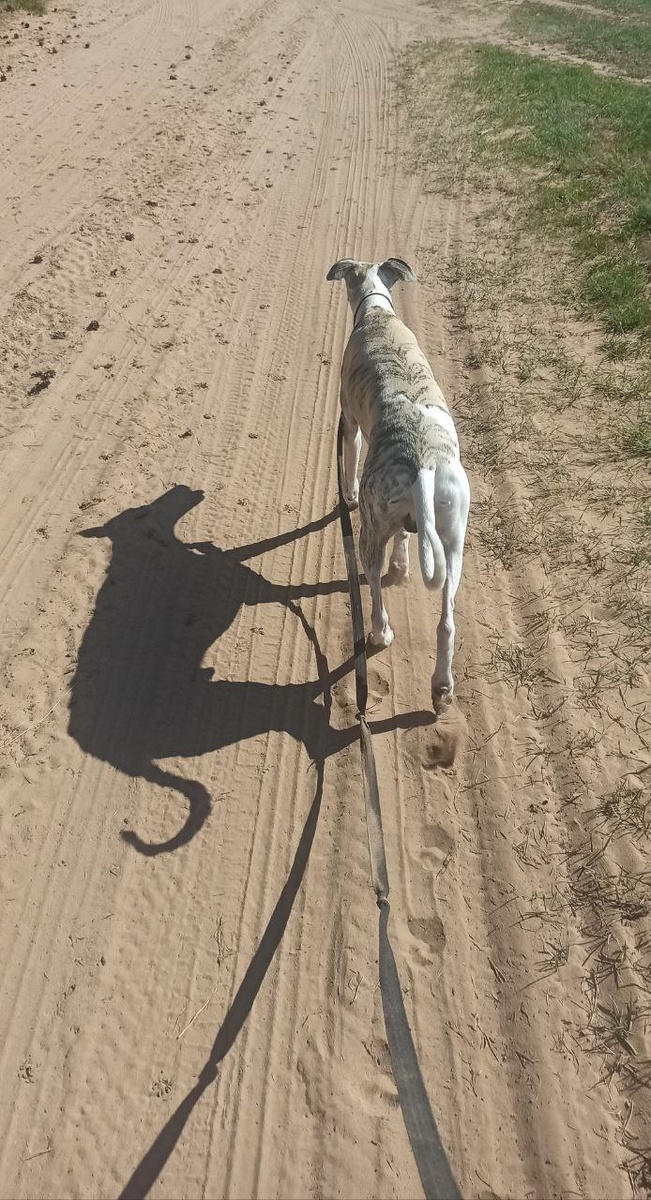 Идём гулять)