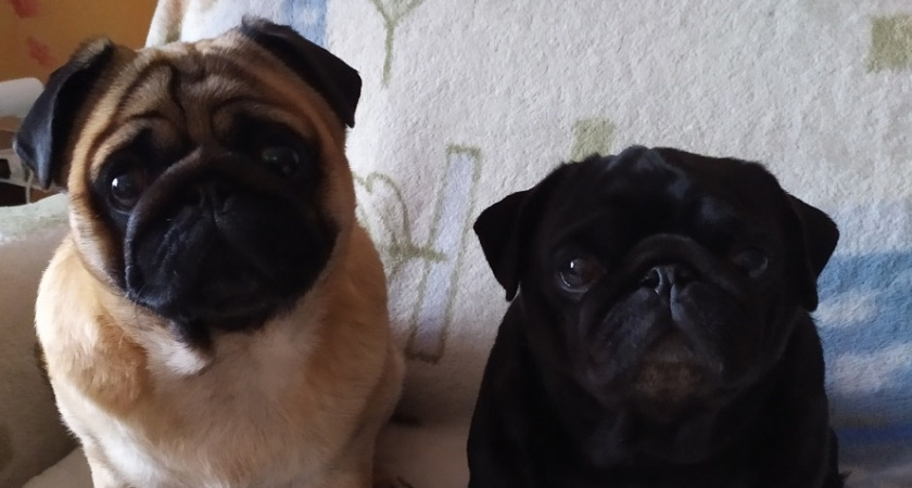    Фото Анастасии Дмитриевой