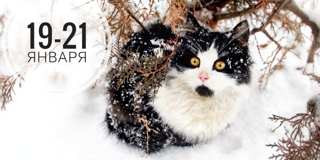 Нумерологический прогноз на 19-21 января 2025: от творческого полёта к неожиданным поворотам