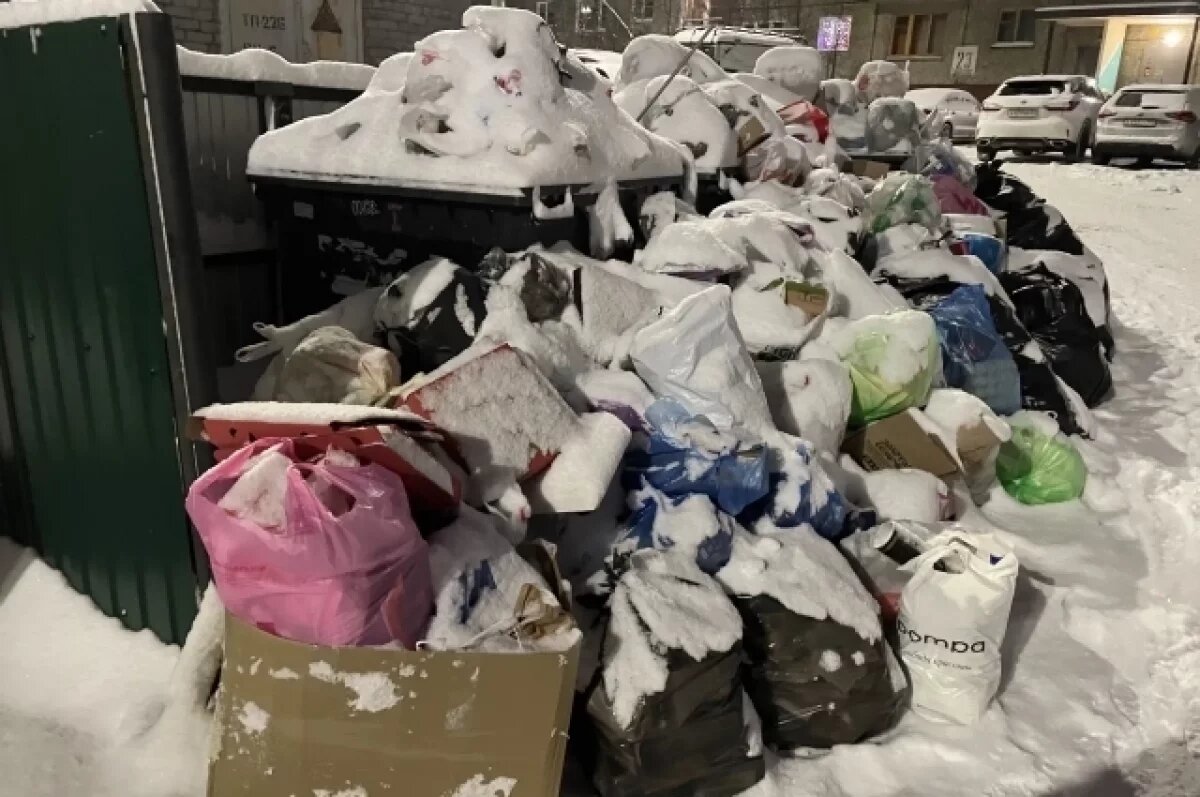    Жители Каспийска пожаловались, что к мусорным бакам было невозможно подойти.