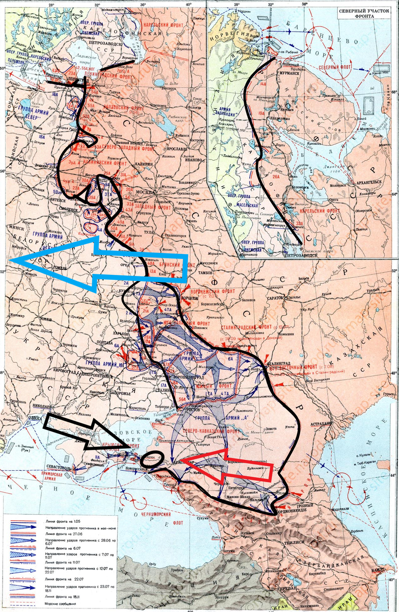 (Фото взято из открытых источников).
