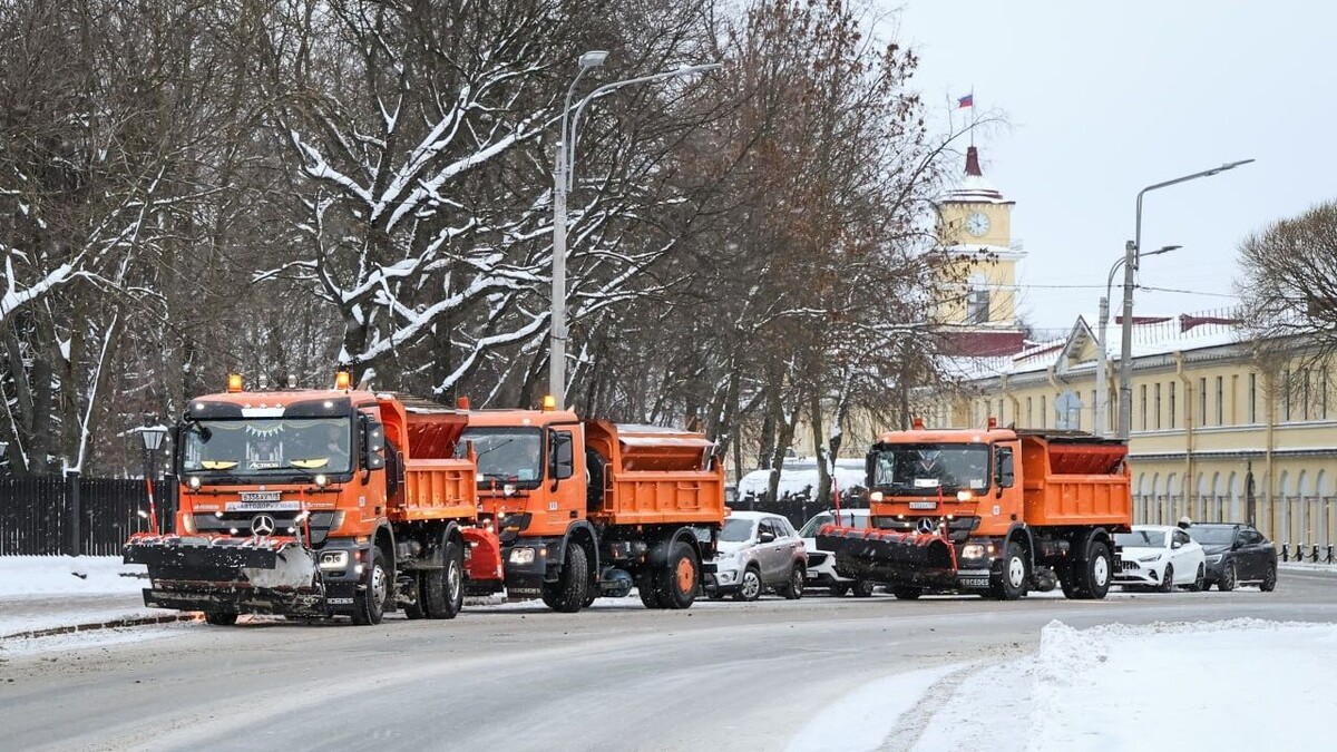   Telegram-канал председателя комитета по благоустройству Петербурга Сергея Петриченко