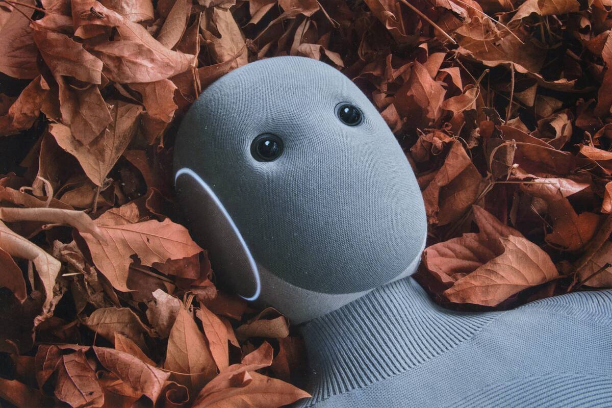 Робот NEO Источник: 1X Technologies
