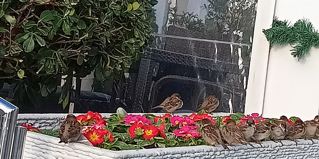 14 января. Середина первой рабочей недели 2026 года на набережной Адлера