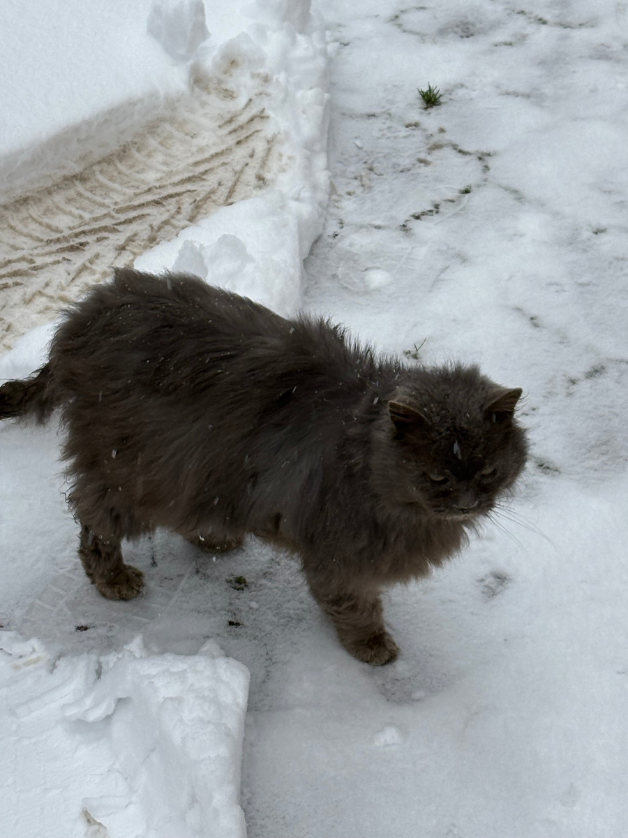 Где вы ездите? Кушать хочется! Везде фото автора.