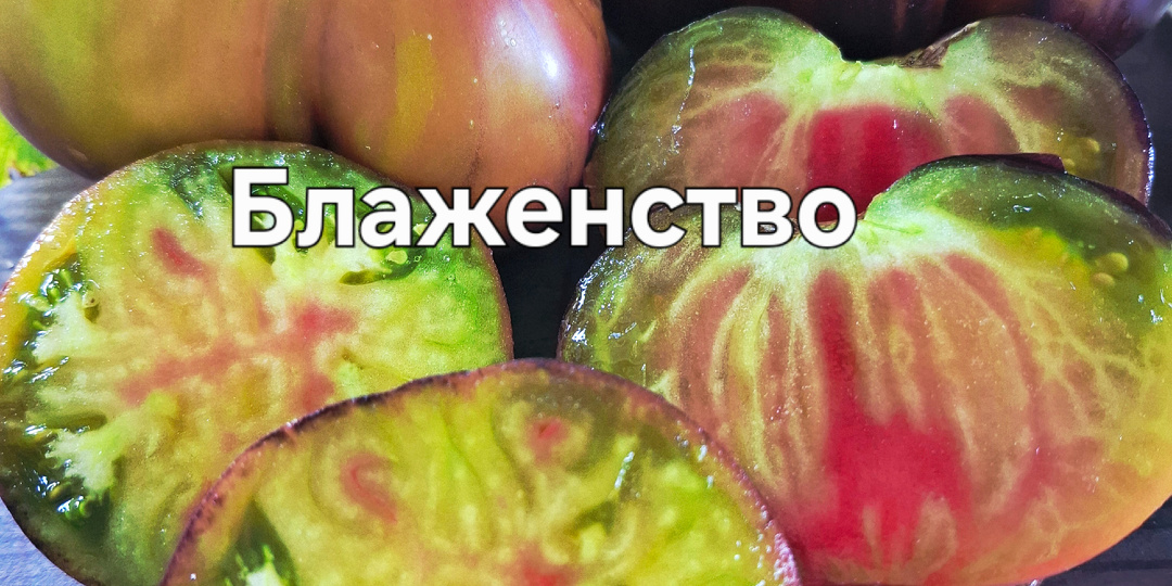 Большой набор сортов Софии Сааковой!