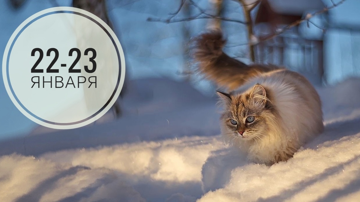 Нумерологический прогноз на 22-23 января