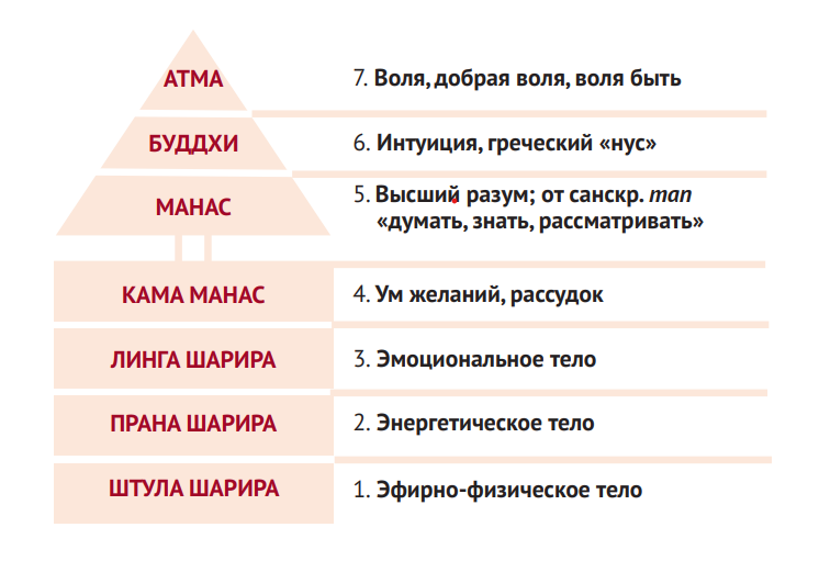 Устройство природы и человека согласно индийской философии