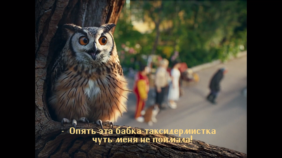 Кадр из фильма Невероятные приключения Шурика (2025)