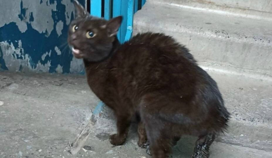 В нашем регионе мороз