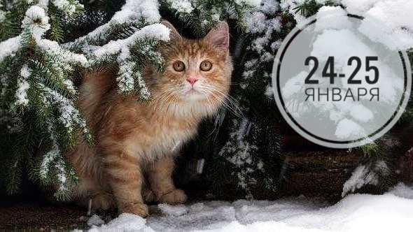 Нумерологический прогноз на 24-25 января