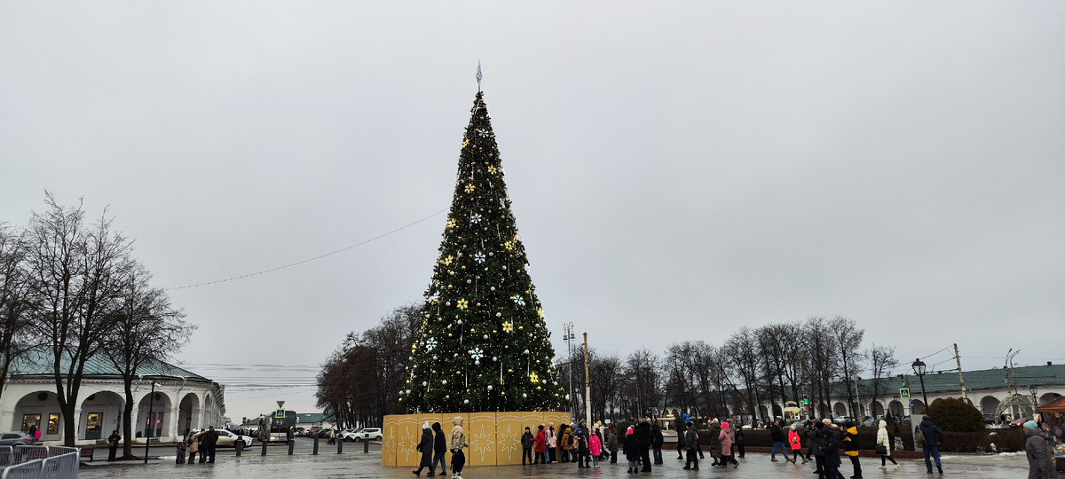 Такая ёлочка нас встречала в центре 