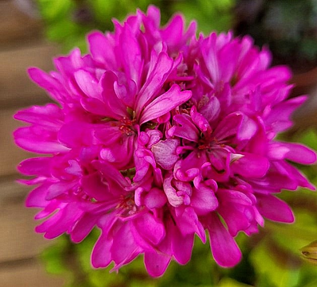 Вот такой красавЕц у меня появился, и я очень рада ему.