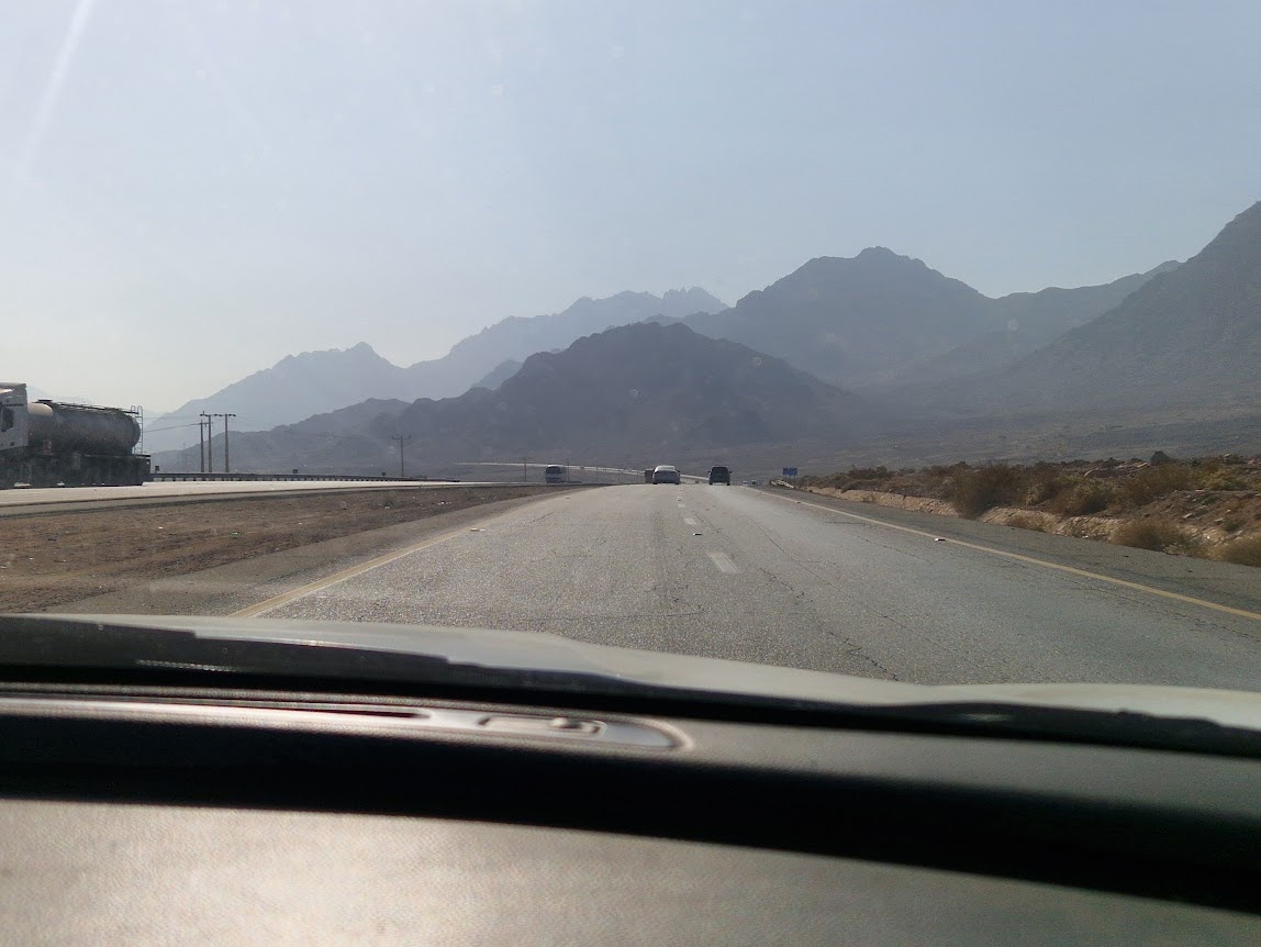 Впереди показались горы