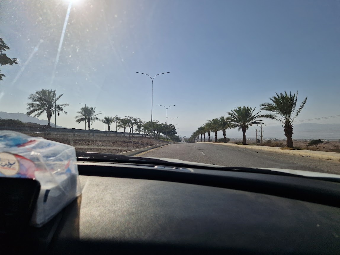 При подъезде к морю горы расступаются, по бобкам - пальмы