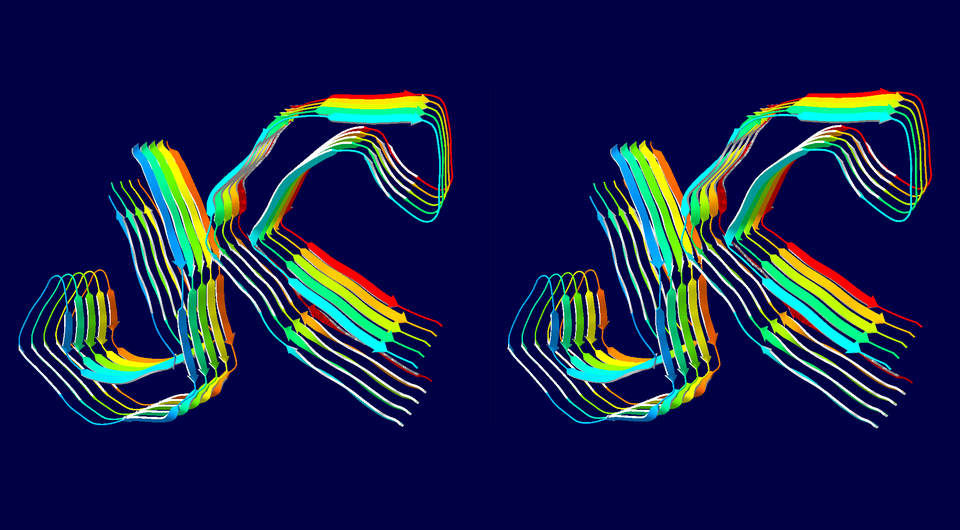   Ebuxbaum / Wikimedia Commons / CC-BY-SA-4.0