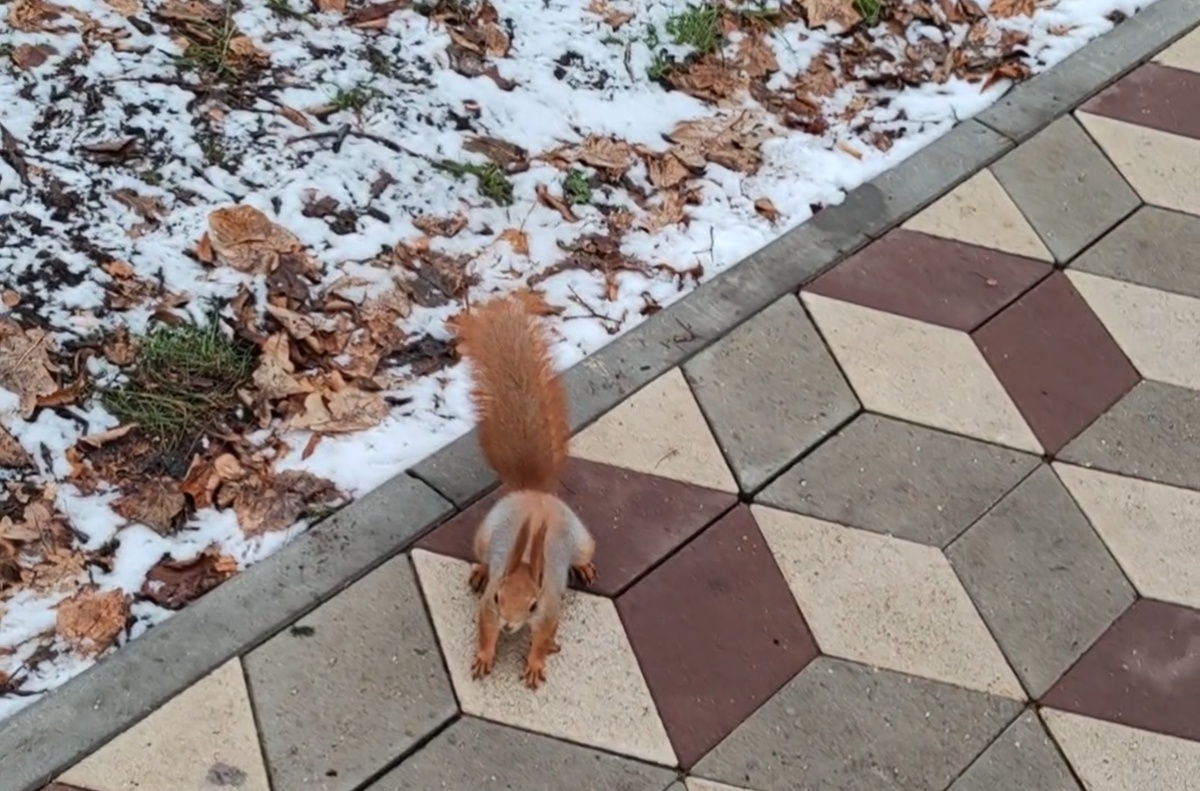 Фото автора канала.