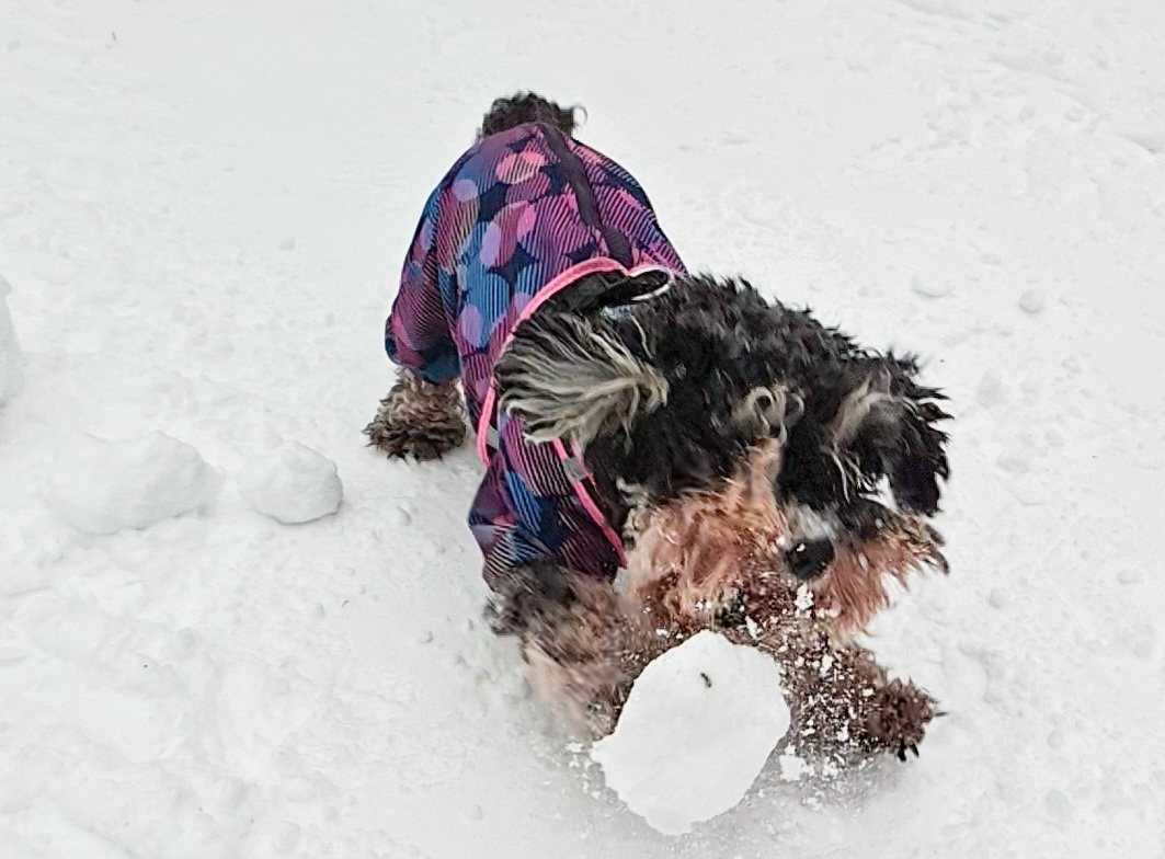 За мгновение до