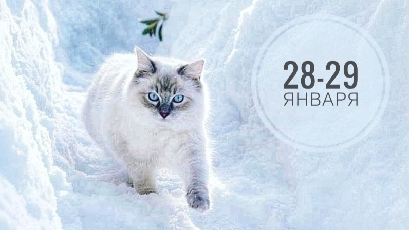 Нумерологический прогноз на 28 и 29 января