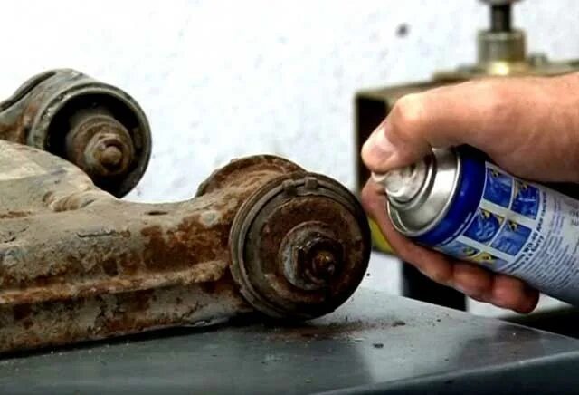 Фото из открытых источников 