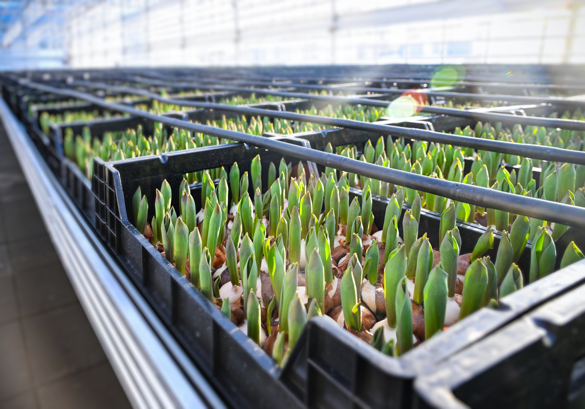 Фото предоставлено пресс-службой мэрии Казани