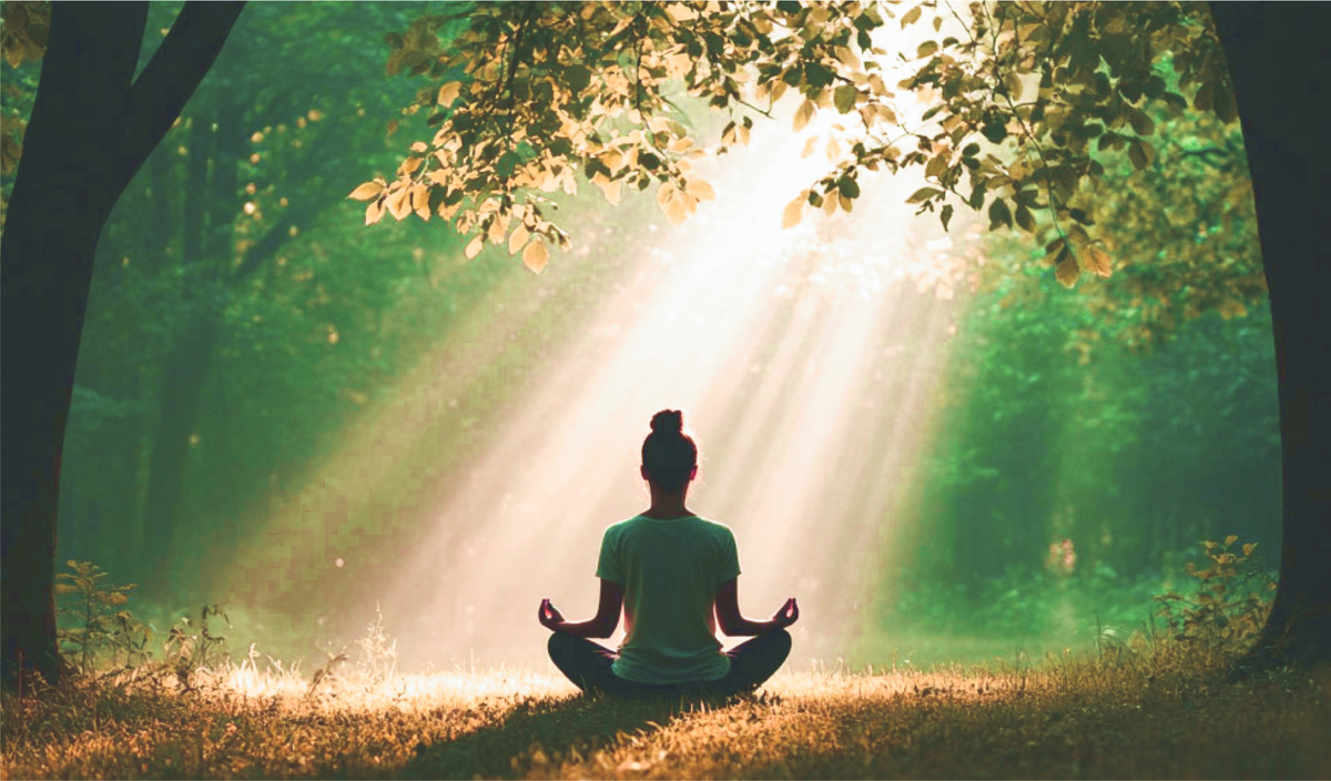 Как за несколько недель снизить кортизол на 25 %: практика, проверенная Гарвардом