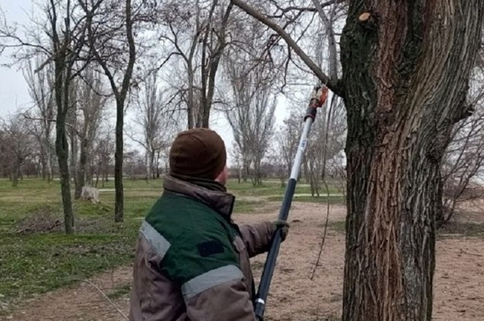    Сотрудники «Зеленстроя» кронируют деревья и удаляют опасные ветви, обеспечивая безопасность горожан. Фото: Администрация Мариуполя