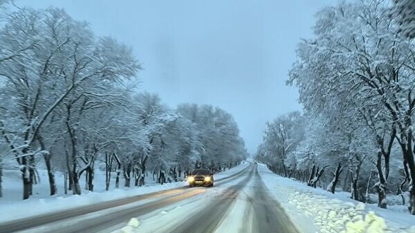    © РИА Новости Крым