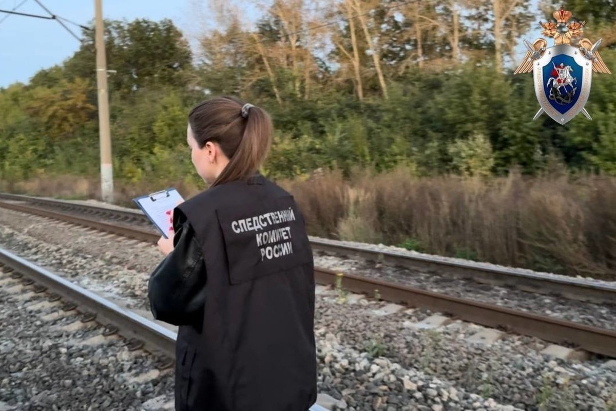   скриншот телеграм-канала Центральное МСУТ СКР