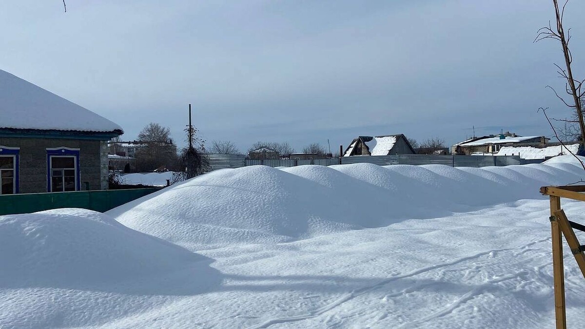    Фото: телеканал «Краснодар»