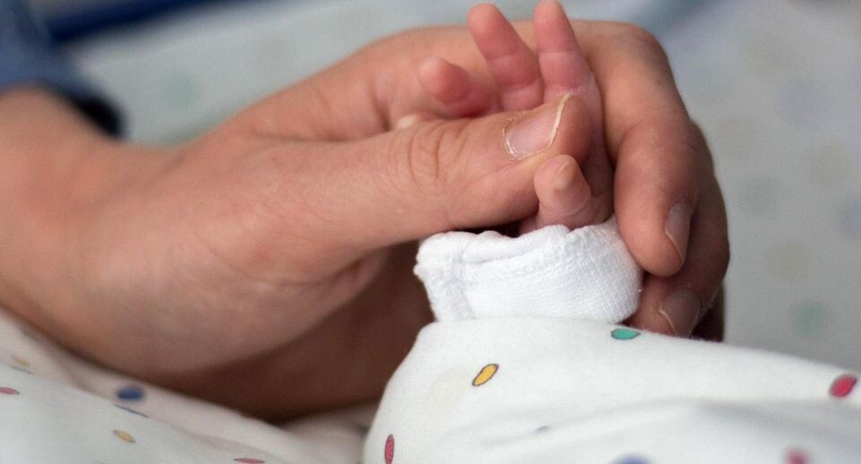    Marcel Kusch/dpa / www.globallookpress.com