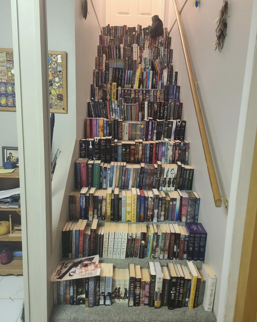 Источник: the_great_abandoneer / reddit.com/r/DeathStairs/comments/1qchsuq/i_can_not_think_of_a_worse_use_of_books_or_stairs 