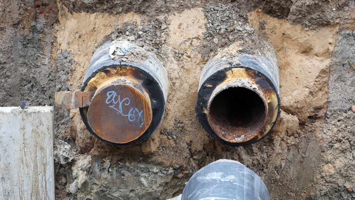    Фото: Belkin Alexey/news.ru/globallookpress.com