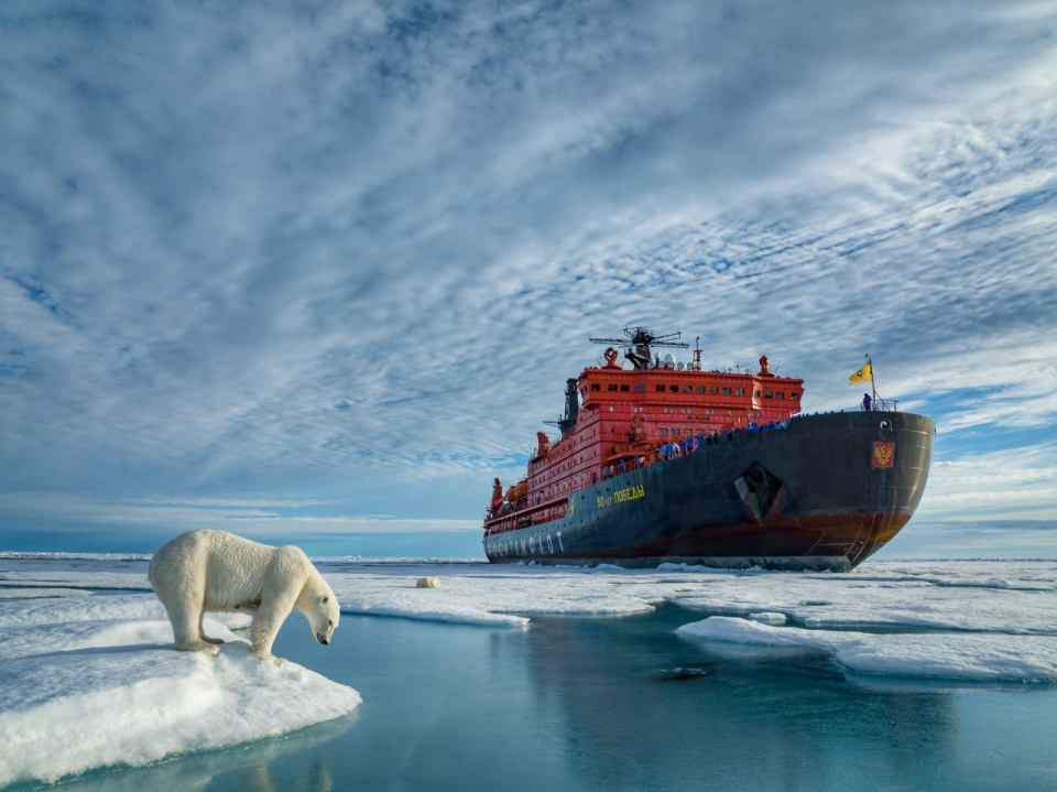 Севморпуть Yandex.ru