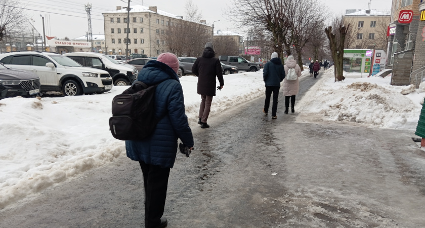    Фото progorod43.ru