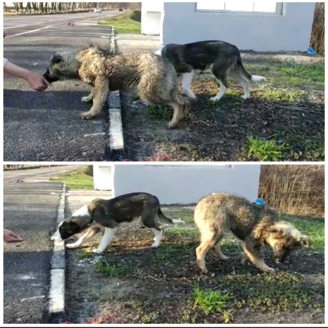 Первая встреча 