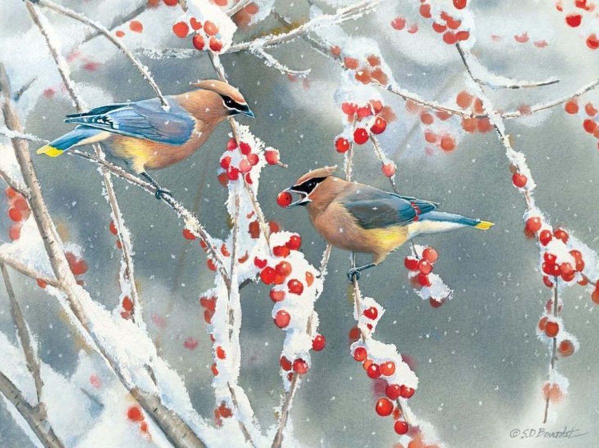 Сьюзан Бурде. https://i.pinimg.com/originals/4e/8b/d3/4e8bd3e17e33b9420791c3f4c2cd3eca.jpg