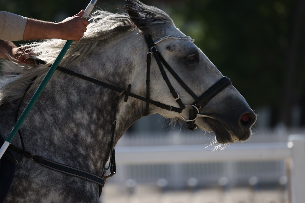    Фото © Всеволод Клещев / Абзац